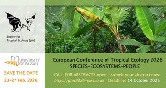 Banner grün Konferenz Fledermaus