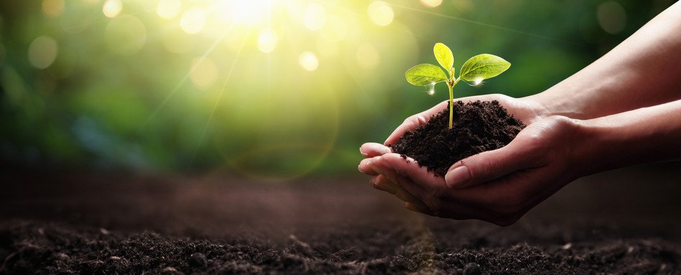 Sustainable Weeks at University of Passau