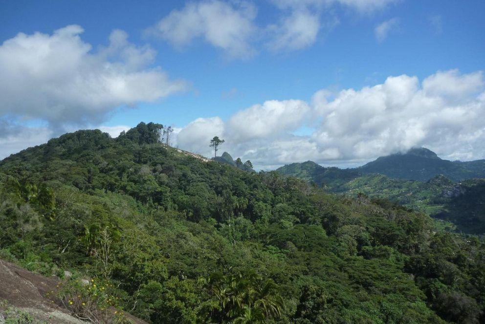 Taita Hills