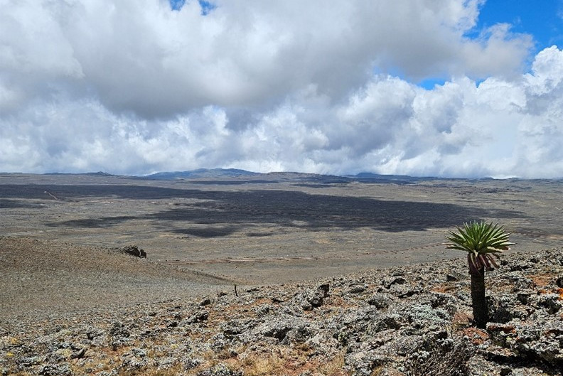 Bale Mountains