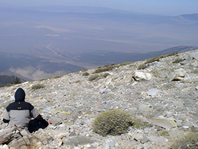 The contribution of ecotones to the functional, structural and floristic diversity of semi-arid high mountains - a case study in the Great Basin, USA