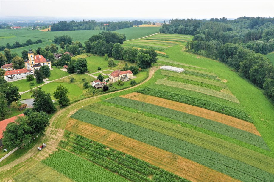 FutureCropFarming II