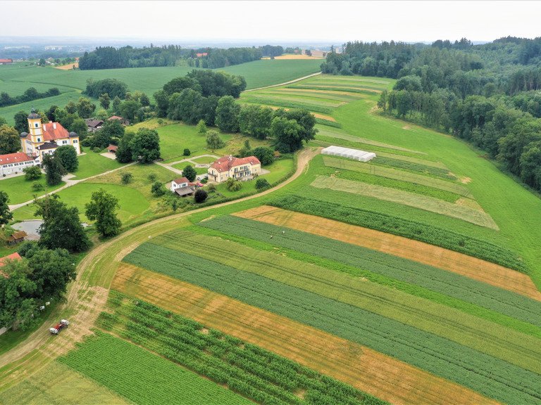 FutureCropFarming II