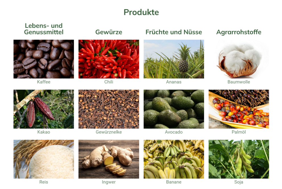 Screenshot Kaffee, Avocado, Chili, Ananas, Gewürznelken etc.