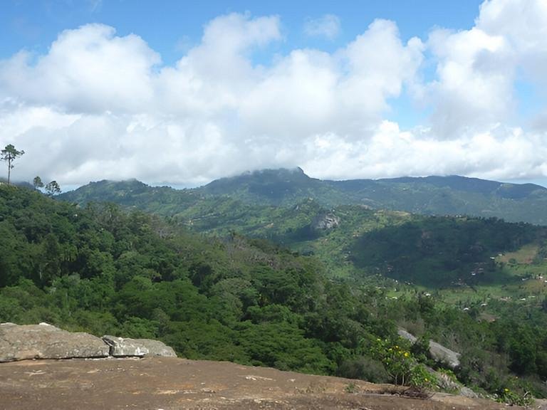 BioCult project: Passau researcher studying biodiversity and biomass in the forests of Kenya and Ethiopia