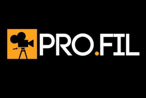 Logo der Hochschulgruppe Profil