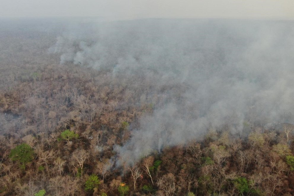 Waldbrand Amazonasgebiet