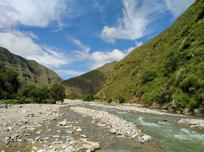Waldgebiet in Bolivien; Foto: Christine Schmitt