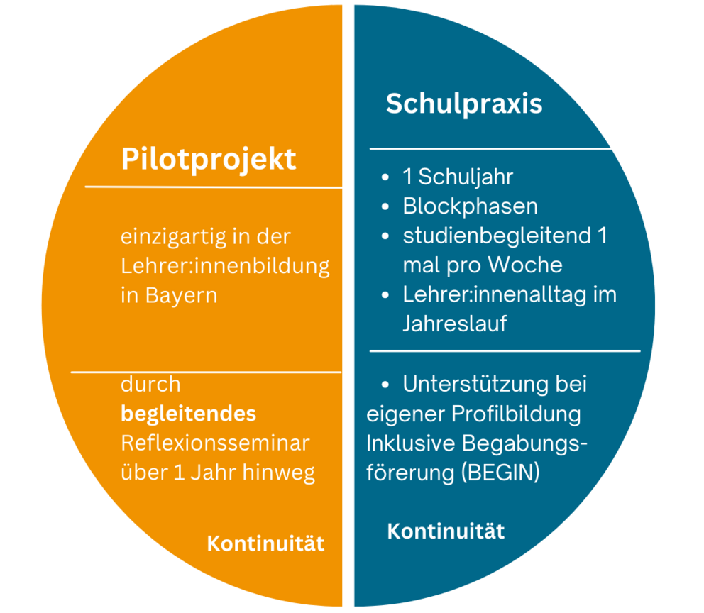 Alternatives Praktikum Modellcurriculum Übersicht