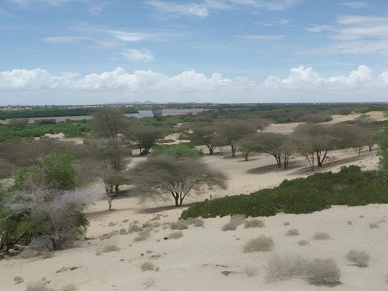 Harnessing wild edible plants to improve food security