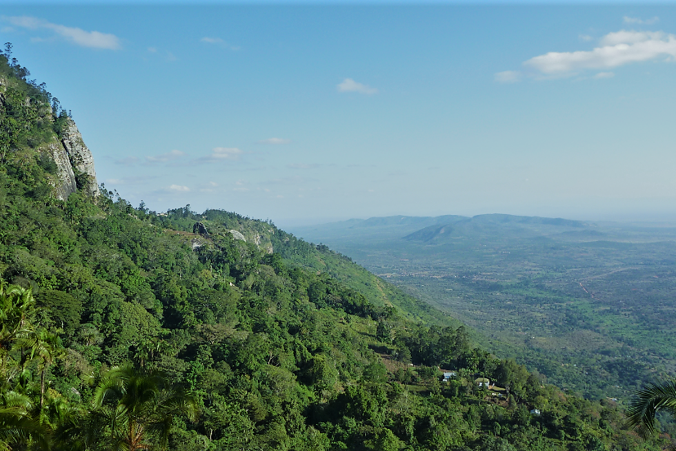 Taita Hills