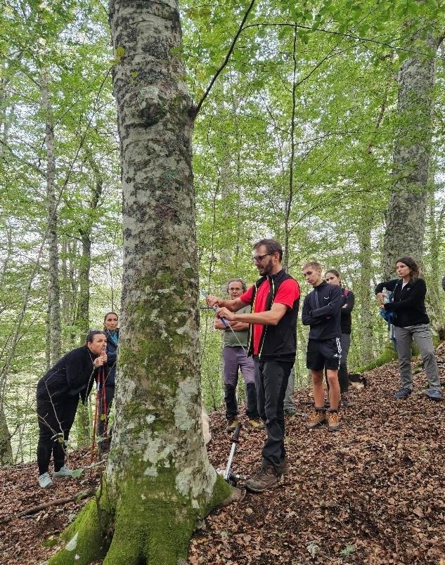 Studierende im italienischen Wald