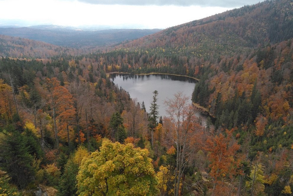 Herbstlicher Bayerischer Wald mit Blick auf den Rachelsee